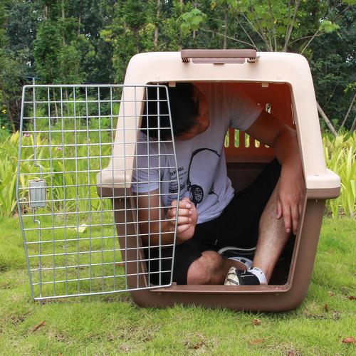 宠物航空箱狗猫笼子猫咪外出便携特大型犬号金毛航空箱